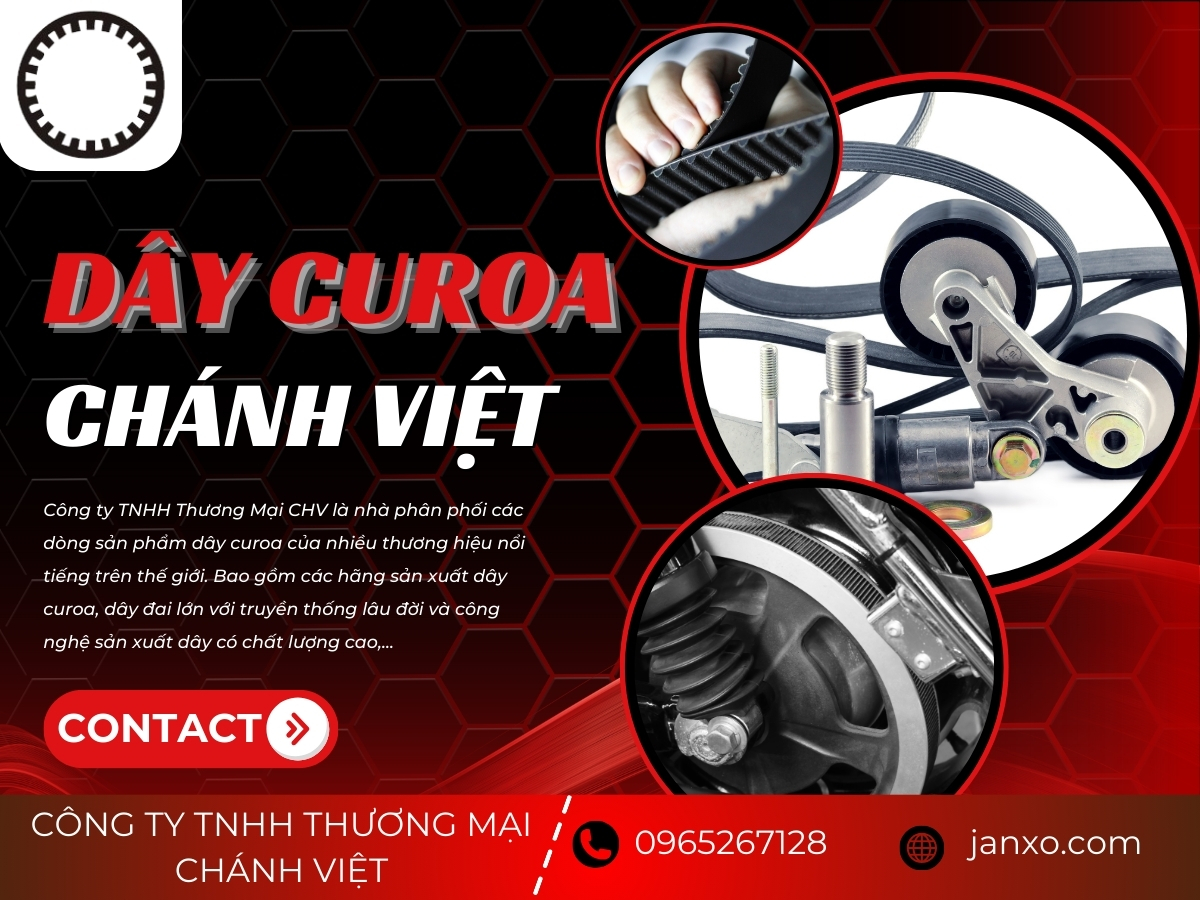 Dây curoa CHV